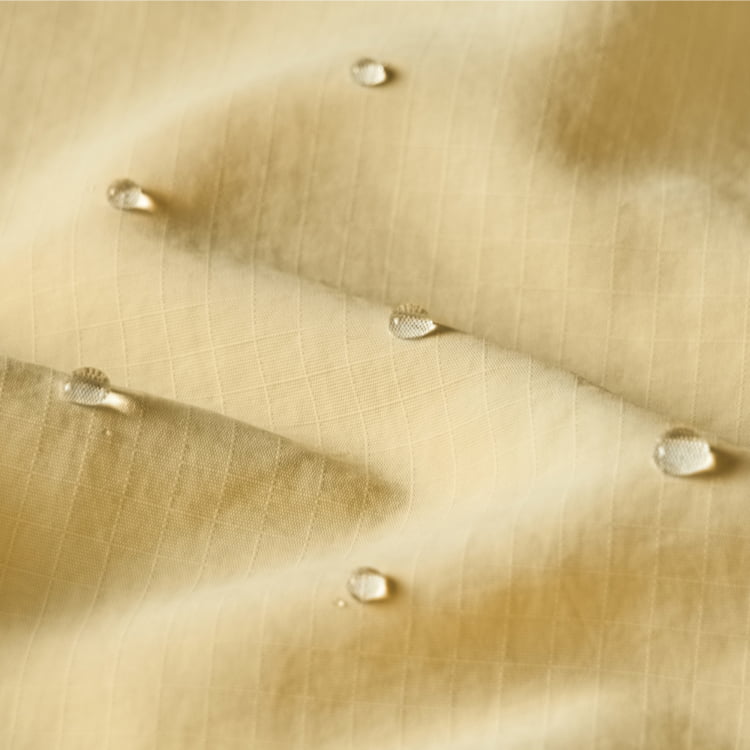 Suzhou Colorat Fish Textile Co., Ltd.